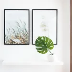 Butterfly Apartment